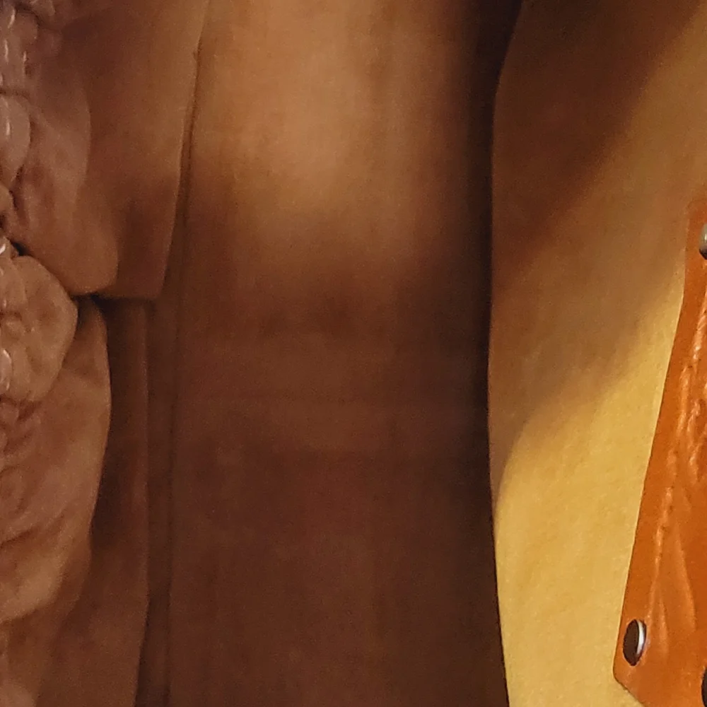 FOSSIL - Picture 4 of 9